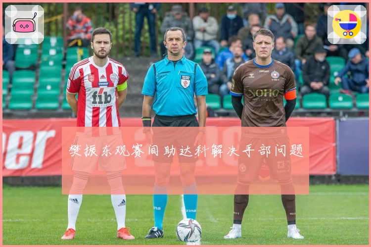 樊振东观赛间助达科解决手部问题