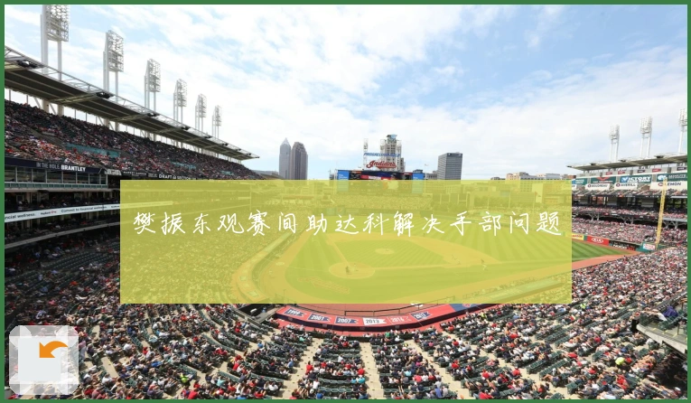 樊振东观赛间助达科解决手部问题