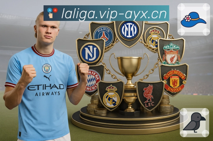 实力铸就每一份荣耀